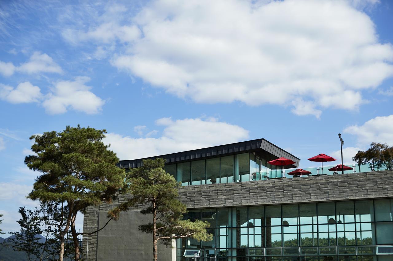 Hotel Thesoom Forest ヨンイン エクステリア 写真